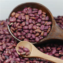 High Quality dark RED kidney beans for sale